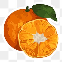 Hand drawn vectorized tangerine orange sticker with white border design element