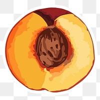 Hand drawn vectorized apricot sticker with white border design element