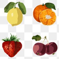 Vectorized tropical fruit sticker collection design elements 