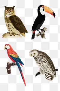 Vectorized mix vintage birds sticker design resource
