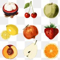 Vectorized tropical fruit sticker collection design elements 