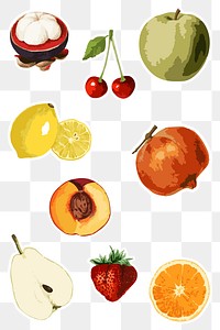 Vectorized tropical fruit sticker collection design elements 