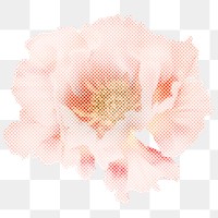 Halftone wild rose flower sticker overlay