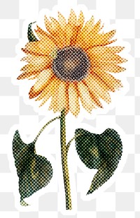 Halftone yellow sunflower sticker overlay with white border