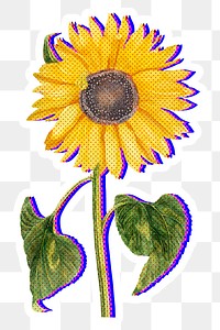 Halftone yellow sunflower with neon outline sticker overlay with white border