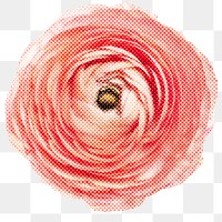 Halftone pink ranunculus sticker overlay