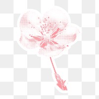 Halftone pink apple blossom sticker overlay with white border 