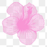 Halftone pink hibiscus sticker overlay with white border 