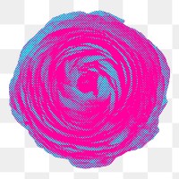 Funky halftone pink ranunculus sticker overlay with white border 