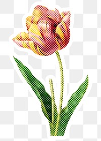 Hand drawn tulip flower halftone style sticker overlay with a white border