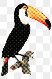 Hand drawn toucan bird halftone style sticker overlay