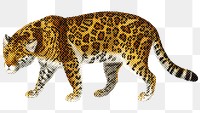 Hand drawn jaguar halftone style sticker overlay