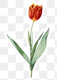 Hand drawn tulip flower halftone style sticker overlay with a white border