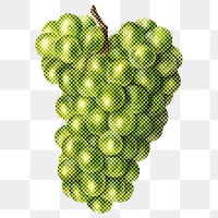Hand drawn grapes halftone style sticker overlay