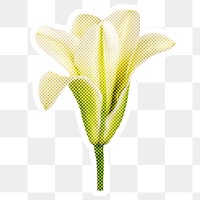 Halftone white lily flower sticker with a white border
