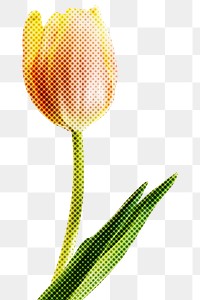 Halftone tulip flower sticker design element