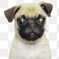 Halftone Pug puppy sticker design element