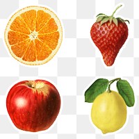 Halftone tropical fruit sticker set  with a white border