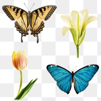 Halftone butterfly and flower sticker set design element