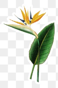 Halftone Bird of paradise flower sticker with a white border