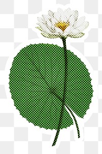 Halftone white Egyptian lotus sticker  with a white border