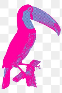 Hand drawn funky toucan bird halftone style sticker overlay