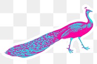 Hand drawn funky peacock halftone style sticker overlay with a white border