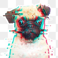 Pug glitch style sticker overlay with a white border