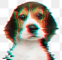 Beagle puppy with glitch effect sticker overlay