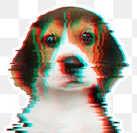 Beagle puppy with glitch effect sticker overlay