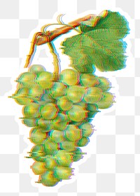 Green grapes with glitch effect sticker overlay