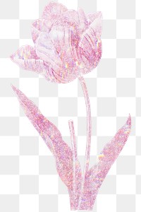 Pink holographic tulip flower design element