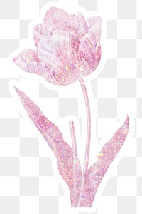 Pink holographic tulip flower sticker with white border