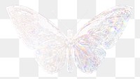 Silver holographic Ornithoptera priamus butterfly design element