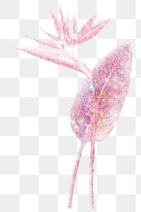 Pink holographic  bird of paradise flower design element