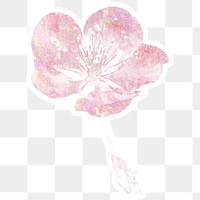 Pink holographic cherry blossom flower sticker with a white border