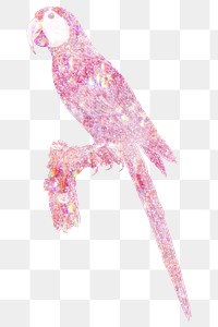 Pink holographic macaw design element