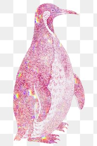 Pink holographic Magellanic penguin design element