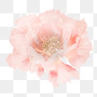 Hand drawn pink peony design element