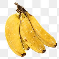 Hand drawn banana design element