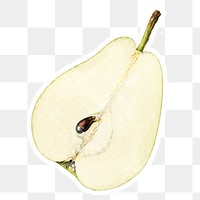 Hand drawn pear sticker design element with white border