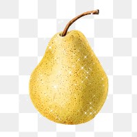 Hand drawn pear design element