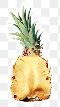 Hand drawn sparkling pineapple sticker with white border