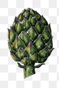 Hand drawn sparkling artichoke design element