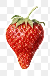 Hand drawn sparkling strawberry fruit sticker with white border