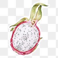 Hand drawn sparkling dragon fruit fruit sticker with white border