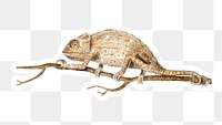 Hand drawn sparkling chameleon sticker with white border