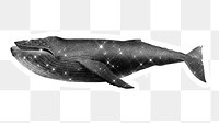 Hand drawn sparkling humpback whale sticker with white border