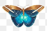 Hand drawn sparkling great occidental butterfly design element