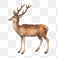 Hand drawn sparkling deer sticker with white border